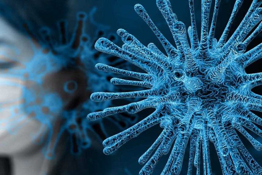 Coronavirus : Questions